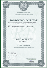 Prawo ochronne nr 311167